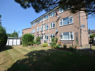 Picture 10